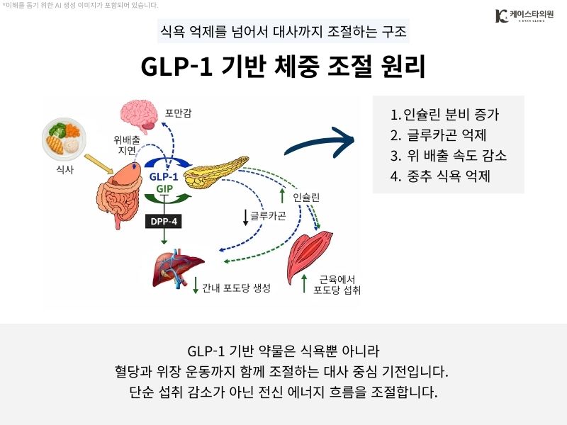 glp-1 for obesity slidell How GLP-1 Medications Boost Weight Loss Efficiency